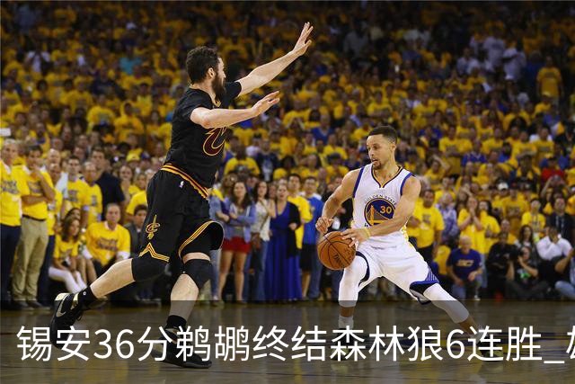 锡安36分鹈鹕终结森林狼6连胜 雄鹿险胜公牛